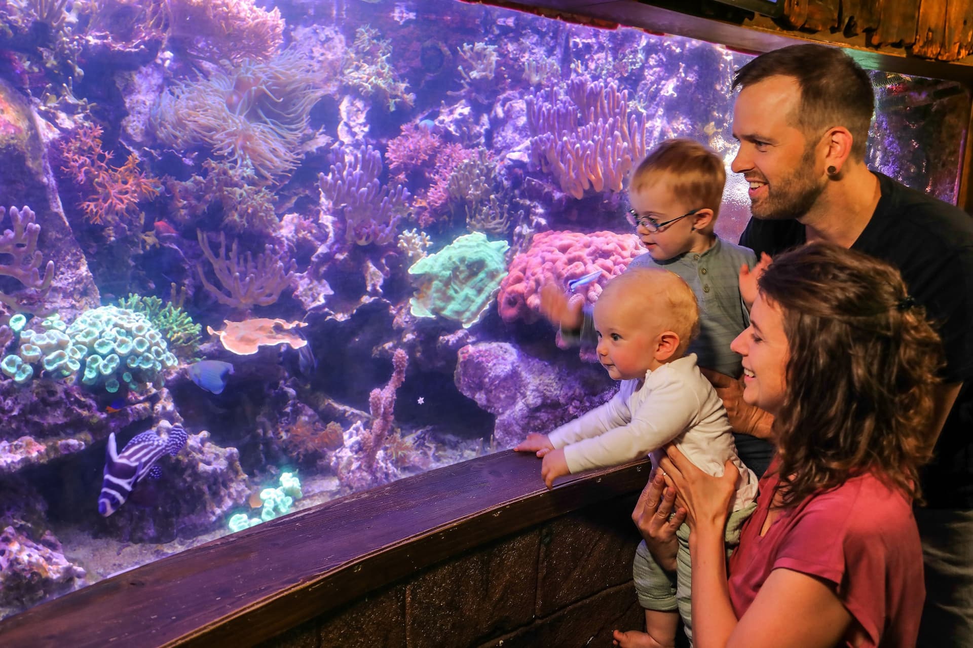 SEA LIFE Hannover Aquarium Ticket - image 8